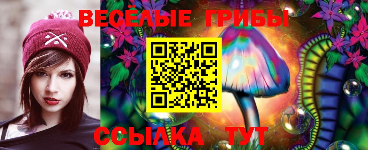 Донецк  Галлюциногенные грибы ЛСД  закладка  Вход с VPN 